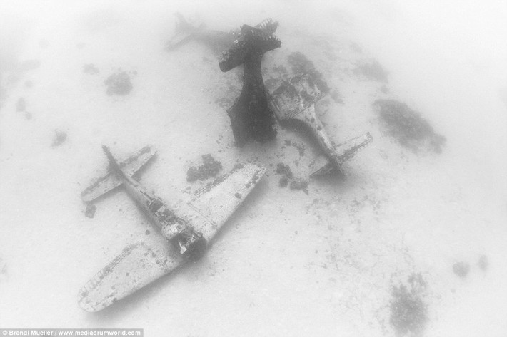 Republic P-47 Thunderbolt của Mỹ là kiểu máy bay tiêm kích một động cơ lớn nhất vào thời kỳ đó cũng "yên nghỉ" dưới đáy đại dương.