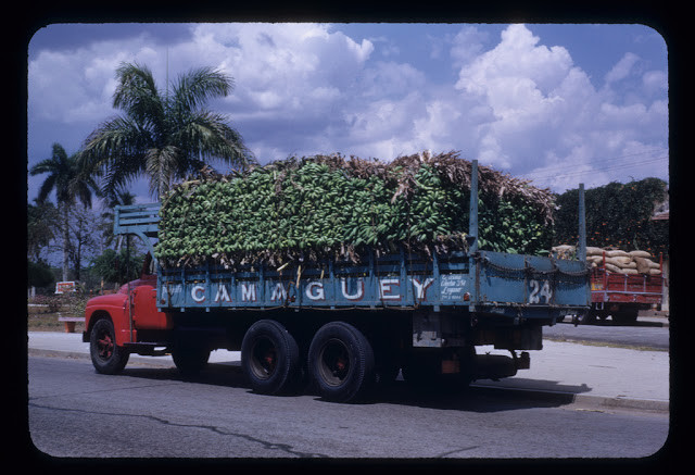 Xe tải chở đầy chuối - một trong những nông sản được trồng nhiều ở Cuba.