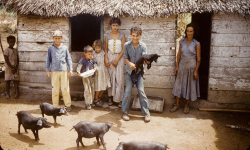 Những đứa trẻ vui đùa trước cửa nhà tại Cuba những năm 1950.