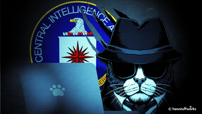 Vào năm 1966, CIA tiến hành thử nghiệm "Mèo nghe lén". Theo đó, con mèo sau khi trải qua huấn luyện được triển khai thực hiện nhiệm vụ đầu tiên ở thủ đô Washington DC. Mục tiêu là hai người đàn ông ngồi bên ngoài đại sứ quán Liên Xô. Nó được thả xuống từ xe tải nhưng ngay khi băng qua đường để tiếp cận mục tiêu thì bị một chiếc taxi cán phải và chết. Dù CIA cấp kinh phí khoảng 20 triệu USD nhưng dự án này không mang lại kết quả nào. Dự án bị hủy bỏ vào năm 1967.