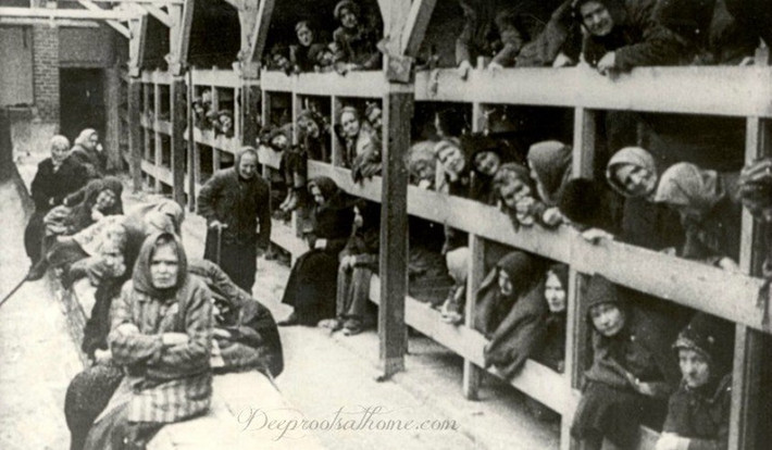 Các chuyên gia y tế này đóng vai trò lớn trong tội ác của Hitler và Đức quốc xã. Trong số này, trùm phát xít ủng hộ thuyết ưu sinh một cách cực đoan. Nhà độc tài Đức quốc xã muốn tạo ra một "chủng tộc thượng đẳng" có ngoại hình, thể lực và tinh thần đều hoàn mỹ.