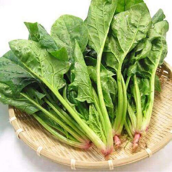 2. Cải bó xôi: Cải bó xôi vừa rẻ, vừa bổ, giàu dinh dưỡng, là một trong những loại rau được nhiều người cao tuổi ưa thích.