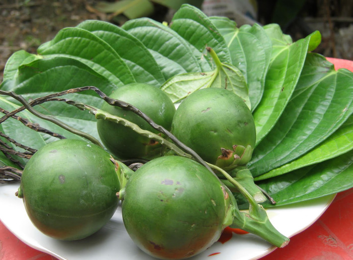 Thực tế, ăn trầu cau có tác dụng giải tỏa căng thẳng cho cơ thể, khiến người ăn cảm thấy sảng khoái hơn. Song, khi nhai trầu cau trong miệng cũng sẽ tạo ra amino nitrit, đó là chất gây ung thư rất mạnh.
