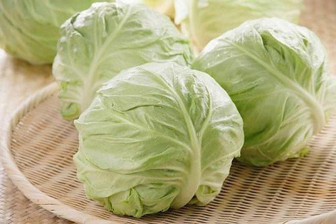 Bắp cải cũng được chế biến theo nhiều cách khác nhau, có thể ăn sống, xào, chần, luộc, nấu canh, là thực phẩm giàu chất xơ, giàu vitamin, bổ dưỡng, ngọt mát.