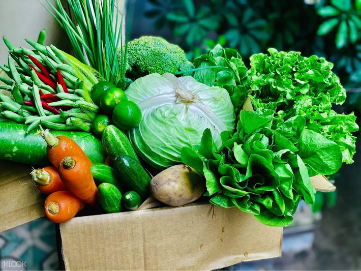 Ngoài ra, bác sĩ Lưu cũng đặc biệt nhắc nhở rằng các loại đường tinh luyện như sucrose và fructose sẽ ảnh hưởng đến sự dao động của lượng đường huyết trong cơ thể, không có lợi cho việc giữ dáng. Ai cũng biết, béo phì còn là nguy cơ dẫn đến bệnh tim mạch, khiến cơ thể tiếp tục viêm mãn tính và gây tổn thương tế bào.