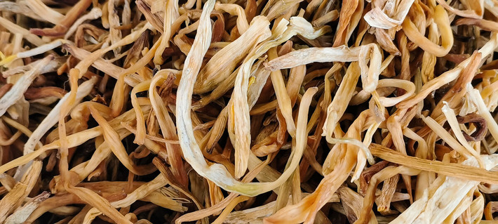 Riêng phần rễ cây sẽ được thu hái vào mùa thu. Sau đó đem rửa sạch, có thể dùng tươi hoặc phơi khô để bảo quản dùng dần đều được.
