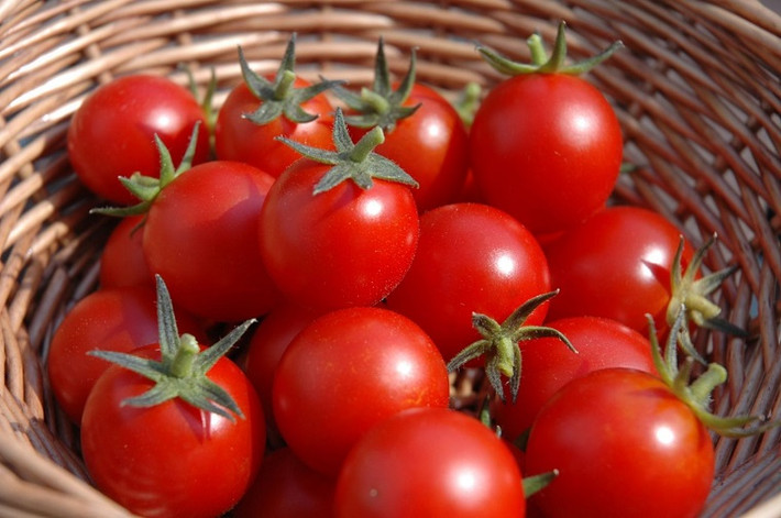 Chưa hết, cà chua là nguồn cung cấp vitamin A và C tuyệt vời giúp ngăn ngừa bệnh quáng gà và tăng thị lực cho đôi mắt, ngăn ngừa thoái hóa điểm vàng, một bệnh nghiêm trọng có thể dẫn đến mù mắt.