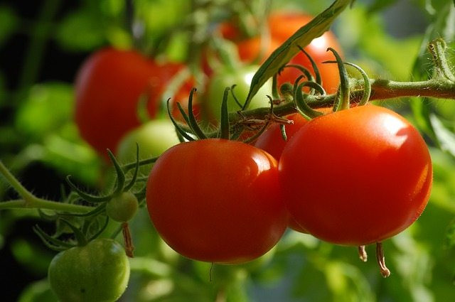 Đáp lại nữ bệnh nhân, bác sĩ cho biết, thực ra chế độ ăn uống và sinh hoạt lành mạnh là có thể ngăn ngừa ung thư. Khi bệnh nhân hỏi nên ăn các loại thực phẩm nào, bác sĩ cũng đáp lại rất nhiệt tình.