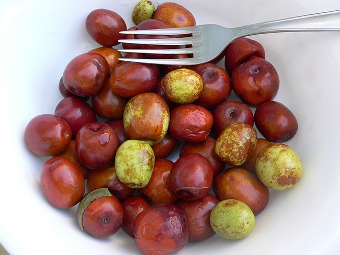 Ở Hàn Quốc, giống táo dại có màu thâm có tên gọi là Daechu (táo tàu), đồng nghĩa với trái cây mùa thu.