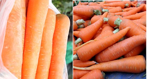 Cà rốt ta củ nhỏ, đậm màu, tươi mới, thường có cuống (phải). Cà rốt Trung Quốc (trái) bóng loáng, đều củ, to, không có cuống hay đầu thường bị đen do để lâu.