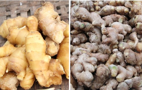Gừng Trung Quốc (trái) trơn, bóng, mọng nước, ruột vàng, ít xơ, lớp vỏ nhẵn nhụi, căng mọng, củ to, đều, ít nốt sần sùi, được vệ sinh rất sạch sẽ. Gừng Trung Quốc đẹp mã hơn gừng ta nhưng mùi thơm thì thua xa. Gừng ta (phải) tuy xấu mã, nhiều rễ và nốt sần sùi nhưng rất thơm. Khi bẻ đôi củ gừng ta sẽ thấy có đường gân bên trong.