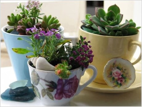 Những chậu hoa dễ thương từ tách trà cũ.