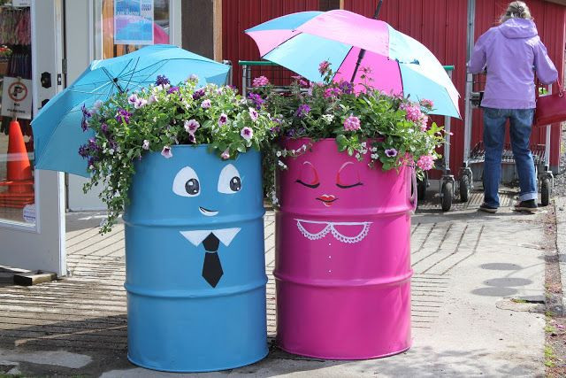 Những chiếc thùng phuy cũng được tận dụng để biến chúng thành chậu trồng hoa cực độc.