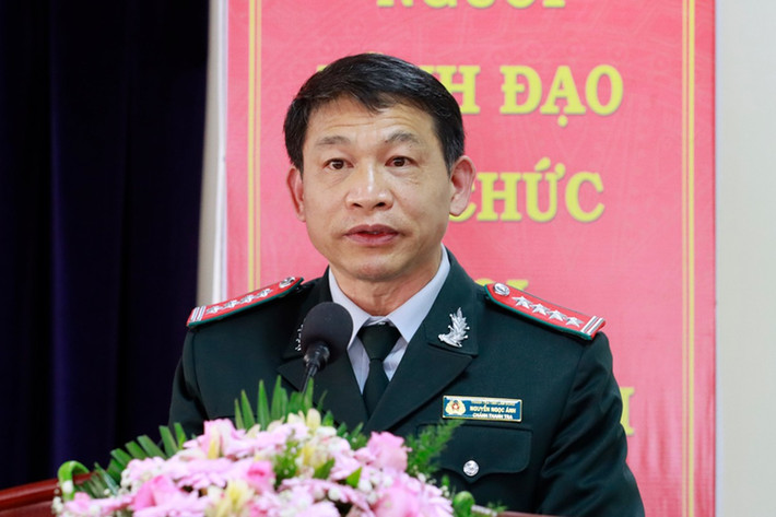 Trước đó liên quan Dự án khu đô thị thương mại, du lịch, nghỉ dưỡng sinh thái Đại Ninh, C03 đã bắt bà Trần Bích Ngọc, Vụ trưởng Vụ I thuộc Văn phòng Chính phủ để điều tra tội lợi dụng chức vụ, quyền hạn. Cơ quan điều tra cho rằng, bà Ngọc lợi dụng vị trí công tác làm trái chức trách, nhiệm vụ được phân công trong giải quyết thanh tra, khiếu nại với dự án Đại Ninh, gây thiệt hại cho lợi ích Nhà nước; ông Nguyễn Ngọc Ánh, Chánh Thanh tra tỉnh Lâm Đồng bị khởi tố để điều tra về tội Nhận hối lộ