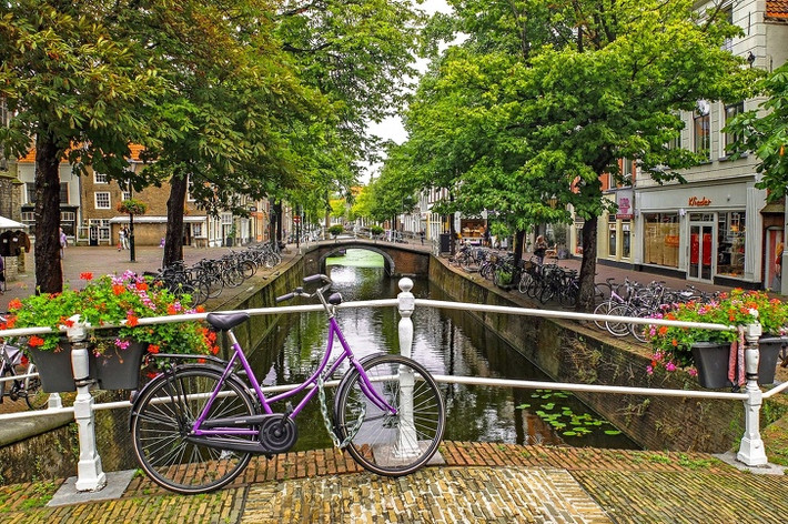 Lý do khiến Hà Lan quyết định đổi tên là vì "Holland" là tên gọi phổ biến của Hà Lan ở các nước nói tiếng Anh nhưng việc sử dụng từ này để gọi một quốc gia bên bờ Biển Bắc với 17 triệu dân sinh sống có thể bị coi là thiếu sót khi không nhắc đến các khu vực khác của quốc gia này.