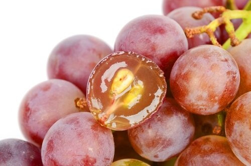 Bạn có thể có hạt nho tươi hoặc dùng chiết xuất hạt nho hay uống dạng viên nang. Một số cách tốt nhất để kết hợp hạt nho vào chế độ ăn uống là thêm vào món sinh tố, súp hay món tráng miệng. Ảnh: Internet.