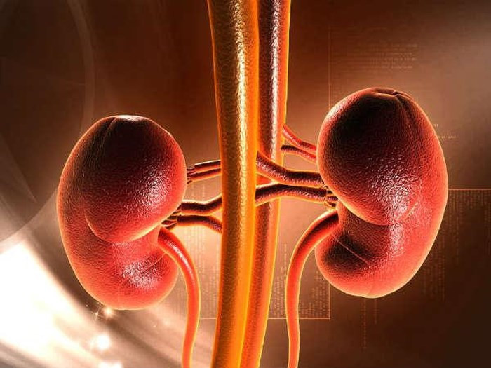 Giải độc cho thận: Thức uống tự chế này có khả năng loại bỏ chất độc và làm sạch các chất thải từ thận sau khi thận đã làm việc cả ngày.