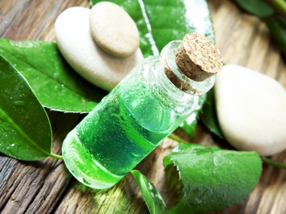 Dầu cây trà trộn với dầu dừa để bôi lên vết rạn da và massage theo chuyển động tròn cho đến khi làn da hấp thụ hết dầu. Dùng hai lần/ngày.