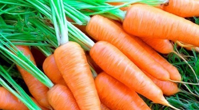 Cà rốt có nhiều chất chống oxy hóa, vitamin, chất khoáng và chất xơ. Thí nghiệm trên chuột cho thấy, uống nước ép cà rốt trong 8 tuần có thể bảo vệ gan khỏi bị nhiễm độc.