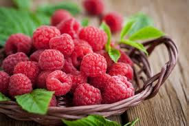 Quả mâm xôi giàu vitamin C và có hàm lượng chất xơ cao, cần thiết trong mùa hè cho hầu hết mọi người. Loại trái cây làm mát cơ thể này chứa lượng chất chống oxy hóa cao giúp chống lại hoặc ngăn ngừa ung thư.