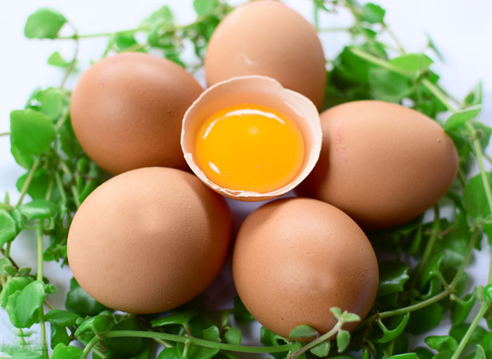Tỷ lệ trứng chứa vi khuẩn Salmonella là rất nhỏ. Chỉ có 1 trong 20.000 quả trứng có thể chứa vi khuẩn nhiễm độc Salmonella.