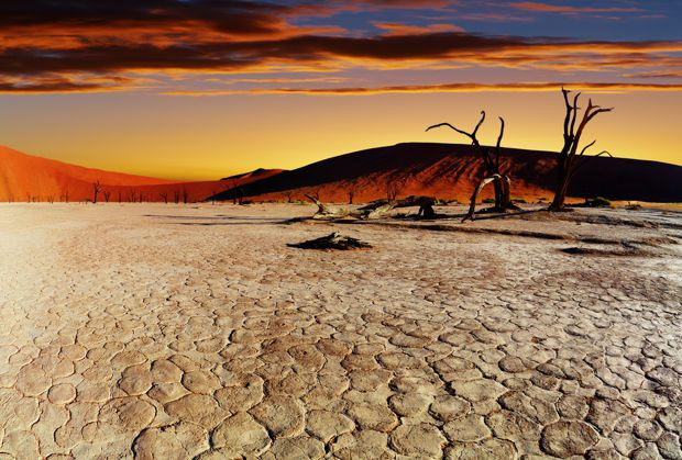 Sa mạc giáp biển nổi tiếng thế giới được nhiều người biết đến là Namib ở Namibia. Sa mạc này có diện tích 55.000 km2.