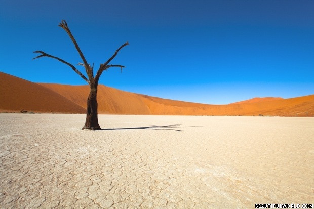 Khí hậu ở sa mạc Namib rất khắc nghiệt khi có sự chênh lệch nhiệt độ giữa ngày - đêm vào khoảng 50 độ C.