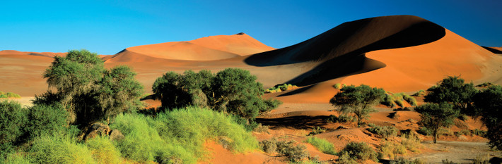 Điều thú vị là mỗi năm ở sa mạc Namib có khoảng 180 ngày có sương mù. Sương mù trở thành nguồn nước chính duy trì sự sống cho hệ động thực vật tại đây.