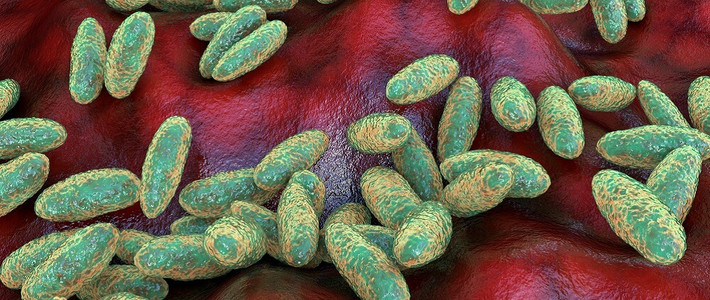 Theo các chuyên gia, vào 5.000 năm trước, vi khuẩn Yersinia pestis có khả năng là một dịch bệnh không dễ lây lan và có nguy cơ tử vong cao như đại dịch Cái chết Đen.