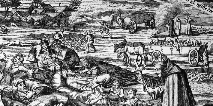 Các chuyên gia đã tìm ra "thủ phạm" gây ra đại dịch Cái chết Đen là vi khuẩn Yersinia pestis. Loại vi khuẩn ký sinh trong loài gặm nhấm hoang dã (chủ yếu là chuột).