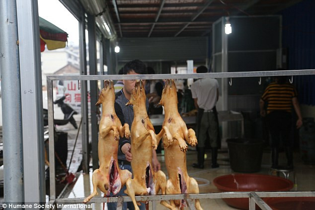 Một gian hàng bày bán thịt chó nguyên con ở chợ Ngọc Lâm.