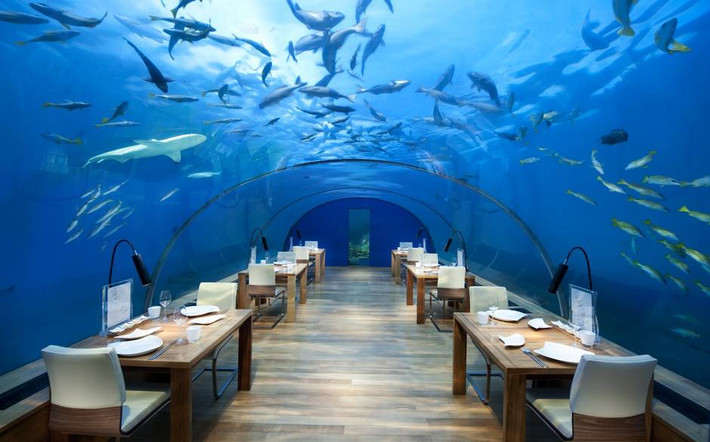 Nhà hàng dưới biển Ithaa tại quần đảo Maldives là một kiệt tác có một không hai. Ngồi trong nhà hàng xẻ dọc biển này, thực khách có thể ngắm nhìn những đàn cá tung tăng bơi lội qua vòm kính cong 270 độ.