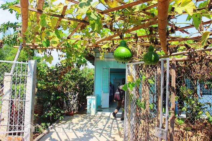 Không chỉ tạo vẻ đẹp cuốn hút, giàn bầu còn là nơi che bóng mát cho gia đình ông Lam mùa nắng nóng.