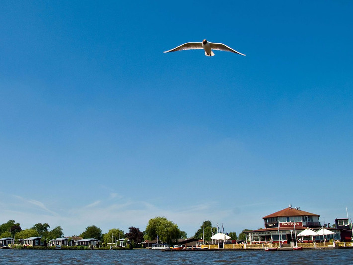 Nằm tại tỉnh Overijssel của Hà Lan, Giethoorn là ngôi làng nổi tiếng với tên gọi “Venice của phương Nam” hay “Venice của Hà Lan”. Bởi lẽ, mọi hình thức giao thông nơi đây chủ yếu bằng đường thuỷ, thông qua kênh đào. Trông như “Venice thu nhỏ”.