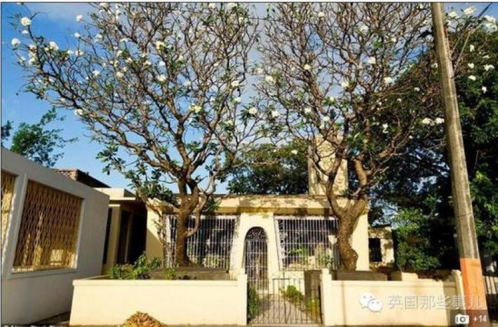 Mỗi khu mộ đều được xây dựng với thiết kế độc đáo riêng biệt, có “nhà” không khác gì biệt thự lộng lẫy, thậm chí còn to và đẹp hơn cả nhà cho người đang sống. Giá đất ở đây được tăng theo cấp số nhân.