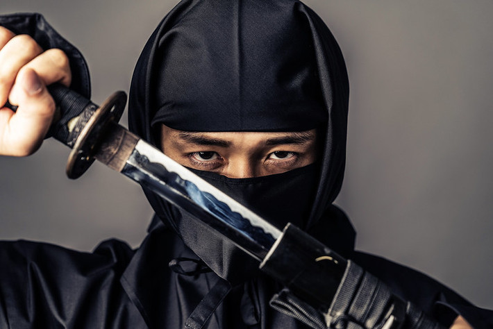 Dưới thời phong kiến, ninja Nhật Bản là một nhóm chiến binh thường được các samurai và lãnh chúa cai trị tuyển dụng để làm gián điệp. Các nhà nghiên cứu hiện chưa thể xác định thời điểm chính xác ninja xuất hiện.