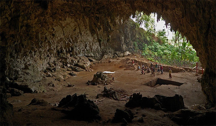 Cụ thể, hóa thạch Homo floresiensis có niên đại từ Kỷ Pleistocen được một nhóm chuyên gia Australia do nhà khảo cổ học Mike Morwood dẫn đầu tìm thấy trong hang động Liang Bua, trên đảo Flores vào năm 2003.