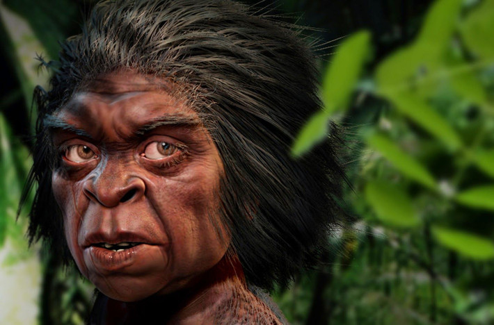 Trong một cuốn sách có tựa đề "Between Ape and Human" (tạm dịch: Giữa loài vượn và con người) sắp được xuất bản, ông Forth cho hay: "Mục tiêu của tôi khi viết cuốn sách này là tìm ra được lý giải hợp lý nhất về lời kể của người dân Lio với các sinh vật giống người".
