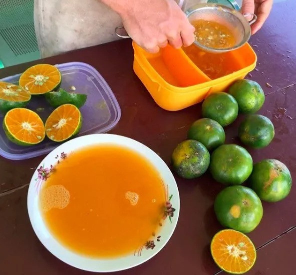 Vào đêm Giáng sinh cách đây 5 năm, Dina lên mạng và tìm thấy phương pháp giảm cân bằng cách chỉ ăn trái cây. Cô cố gắng làm theo trong vài ngày và cảm thấy tình trạng cơ thể rất tốt.
