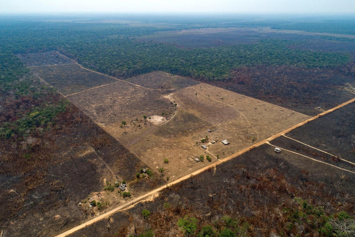Đất trống do những người chăn nuôi gia súc gần Canutama, Brazil đốt nương và phá rừng, ngày 2/9.