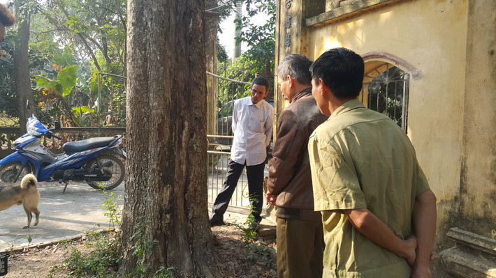 “Cây sưa này các cụ và dân làng, cán bộ địa phương đã giao cho BQL di tích trông nom ngày đêm. Khi bán đấu giá, chính quyền lại không có ý kiến gì với nhân dân địa phương”, ông Hận, người dân địa phương nêu ý kiến.