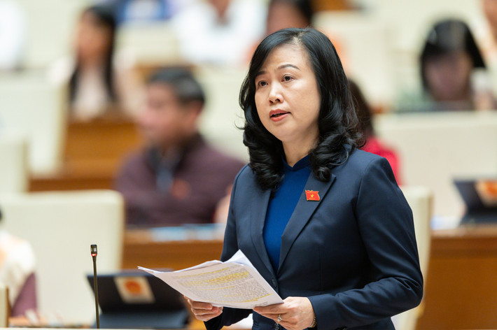 Bộ trưởng Bộ Y tế Đào Hồng Lan: “Thời điểm này ngành y tế đang gặp khó khăn hơn bao giờ hết. Vấn đề nợ đọng thanh toán bảo hiểm y tế do vướng mắc liên quan triển khai Luật Bảo hiểm y tế và nghị định 146 còn những quy định chưa thống nhất. Nhiều năm gần đây, các bệnh viện, cơ sở y tế bị nợ đọng do việc thanh toán theo tổng mức chưa đáp ứng yêu cầu. Vì thế, hiện nay nhiều cơ sở y tế thực sự trở thành con nợ, do các chi phí khám chữa bệnh bỏ ra chưa được thanh toán nên việc triển khai khám chữa bệnh khó khăn, dẫn đến việc mua sắm đấu thầu cũng khó khăn vì nợ các nhà thầu chưa thanh toán được”.