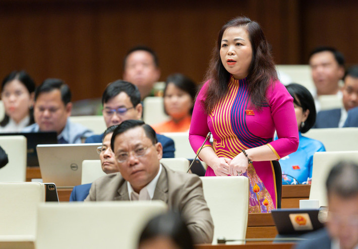 Đại biểu Vũ Thị Lưu Mai - TP Hà Nội: "Dưới góc độ của người dân vẫn luôn mong rằng chính quyền cần quyết liệt hơn nữa trong xử lý các vướng mắc về đất đai. Theo đó cần đưa ra một lộ trình cụ thể, một thời hạn cụ thể và điều này thì cần được nghị quyết hóa, bởi vì đó là thước đo mức độ hoàn thành nhiệm vụ của cơ quan công quyền. Cần xử lý nghiêm đối với lối tư duy nhiệm kỳ, cần đề cao trách nhiệm nhưng cũng rất cần một cơ chế minh bạch, ranh giới giữa đúng - sai phải rõ ràng để tạo công cụ bảo vệ những người trong bộ máy công quyền, để không tạo một tâm lý e dè, lo lắng, khơi thông tư tưởng. Có như vậy thì hiệu quả quản lý nhà nước mới không đi xuống."