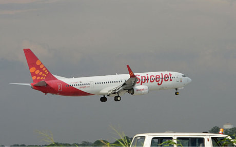 Hồi tháng 11/2014, một chiếc máy bay của hãng SpiceJet (Ấn Độ) đã đâm trúng một con trâu khi trên đường cất cánh rời khỏi thành phố Surat. Rất may, không có hành khách nào bị thương. Vụ va chạm đã khiến chiếc máy bay Boeing 737-800 bị hỏng hóc đáng kể. Trong khi đó, con trâu cũng đã chết ngay tại chỗ.