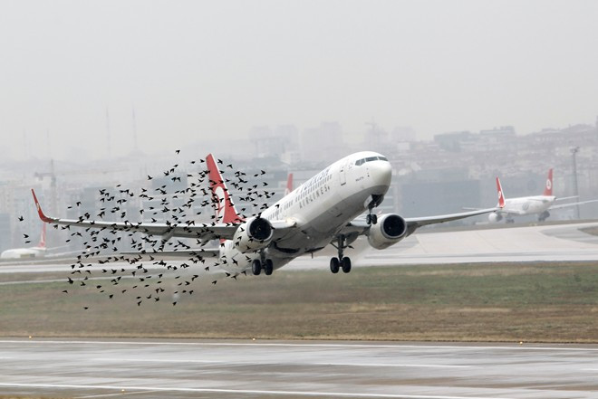 Chuyến bay số hiệu 1549 của hãng US Airways từng gặp sự cố bởi một đàn ngỗng hồi tháng 1/2009. Khoảng 3 phút sau khi phi cơ cất cánh, một đàn ngỗng bay ngang qua máy bay và một số con lao vào cả 2 bên động cơ gây hư hại. Cơ trưởng xác định máy bay không thể tiếp tục bay đến bất kỳ sân bay nào gần đó, nên chọn địa điểm hạ cánh khẩn cấp là sông Hudson.