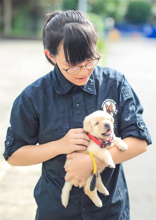 6 chú chó con đã hơn 1 tháng này sẽ đóng một vai trò quan trọng như một phần của Đơn vị chuyên dò tìm bom mìn, chất cấm và máu có tên K-9 ở Đài Bắc.