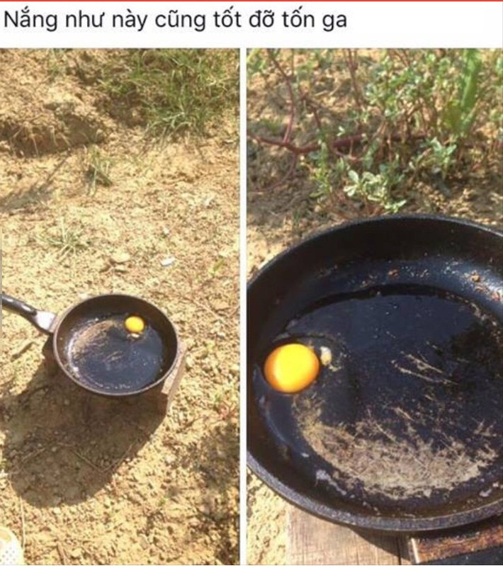 "Nắng nóng chín cả trứng, cũng tốt, đỡ tốn ga!"