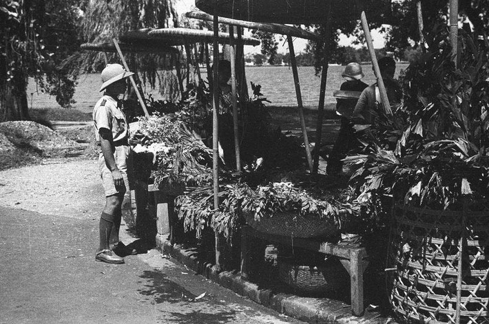 Một quầy bán hoa tươi ven hồ.