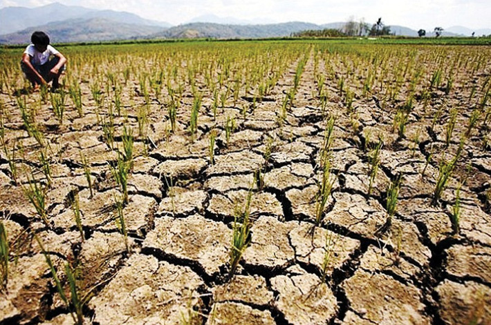 Tổng thư ký WMO, giáo sư Petteri Taalas cho hay năm 2023 nắng nóng có thể sẽ phá kỷ lục ở quy mô địa phương, khu vực và có thể là toàn cầu. Từ thực trạng thời tiết khắc nghiệt gia tăng, ông lưu ý: "Điều này nhấn mạnh Liên Hiệp Quốc cần thiết phải cảnh báo sớm để giữ an toàn cho mọi người".