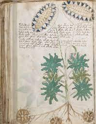 Bản thảo Voynich khiến giới khoa học "đau đầu" vì nội dung được viết bằng ngôn ngữ bí ẩn chưa từng biết đến. Thêm nữa, hình minh họa trong sách miêu tả về con người, thực vật hư cấu, biểu tượng chiêm tinh... kỳ lạ, bí ẩn. Trong suốt nhiều năm qua, các nhà khoa học, thậm chí chuyên gia mật mã cũng bắt tay vào giải mã nội dung của bản thảo Voynich.
